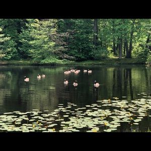 Meet your Posher, Nan